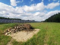 Anlage von Stein-/Totholzriegel im Solarpark